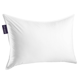 The Lincove Pillow Collection