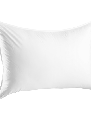 The Lincove Pillow Collection