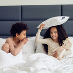 Down And Feather Toddler Pillow - Set