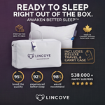 Cloud™ Canadian Down Pillow