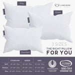 Lincove Cloud Natural Canadian White Down Luxury Sleeping Pillow - 625 Fill Power, 500 Thread Count Cotton Shell, Made in Canada, King - Medium, 2 Pack
