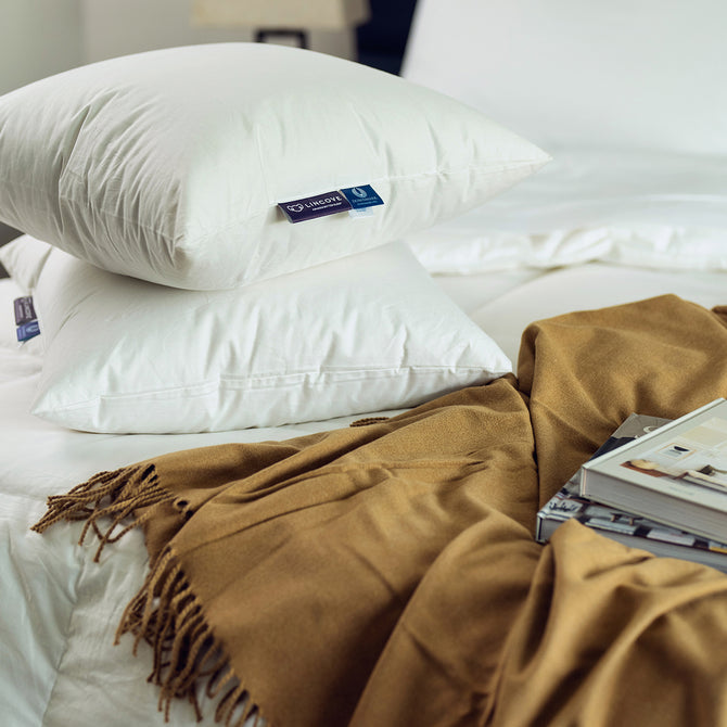 The Fluff On Goose Down Lincove