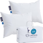 Cloud™ Canadian Down Pillow - Set