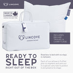 Cloud™ Canadian Down Pillow