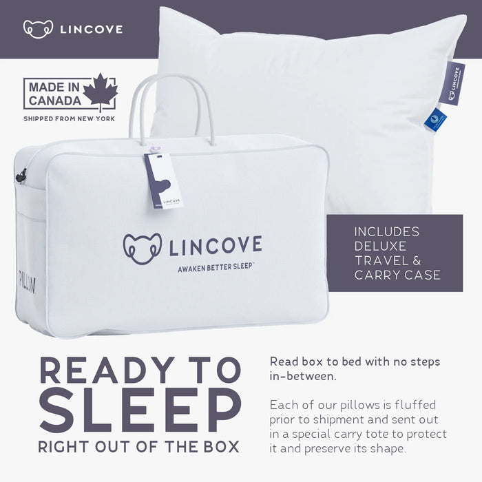 The Lincove Eiderdown Pillow