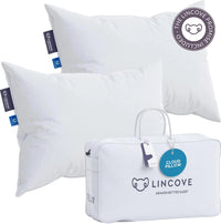 Cloud™ Canadian Down Pillow - Set