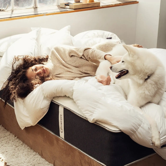 The Lincove Eiderdown Comforter