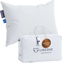The Lincove Eiderdown Pillow