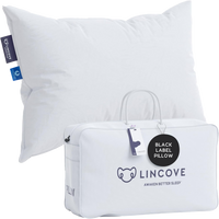 The Lincove Eiderdown Pillow