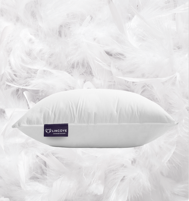 Cloud Canadian Down Pillow Lincove