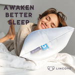 Euro Down Pillow